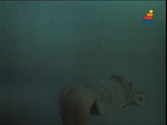 Полностью обнажённая Анна Молчанова в фильме «Дожди в океане» фото #4
