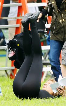 Соблазнительная АннаЛинн МакКорд в обтягивающем костюме пантеры фото #1