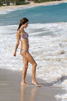 Алессандра Амбросио позирует в бикини на пляже в Сен-Бартелеми фото #9