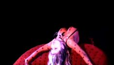Кармен Электра танцует топлес в кабаре Crazy Horse Paris фото #2