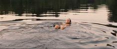 Мари-Жозе Кроз показала голую грудь и попу в фильме «Не говори никому» фото #4