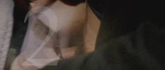 Полностью голая Миа Гот в фильме «Нимфоманка. Часть 2» фото #6