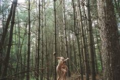 Полностью голая Эбби Ли Кершоу в фотосессии Кары Стрикер фото #20