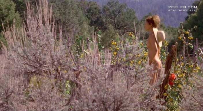 Nude Joan Allen Photos.